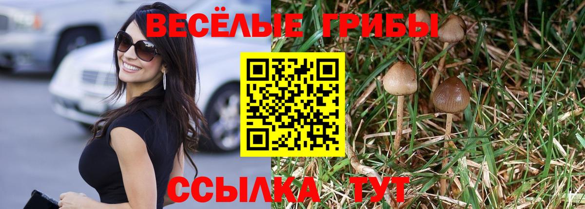 Галлюциногенные грибы Psilocybine cubensis Грязи